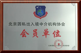 企業(yè)榮譽(yù) 因私出入境中介服務(wù)的卓越成就